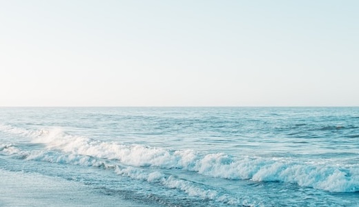 コウメ太夫の嫁は泉美木蘭！離婚理由・親権・息子の現在まで徹底解説